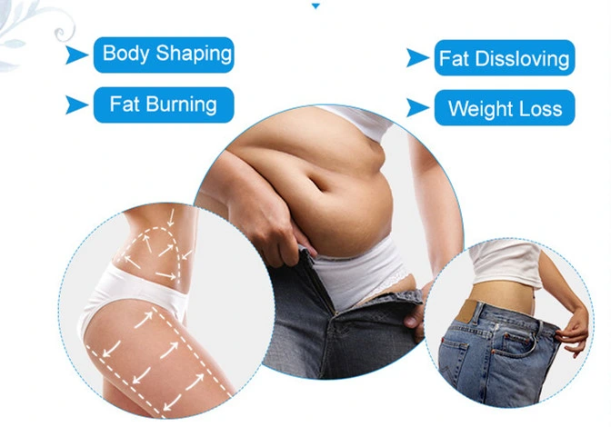 Machine de liposuccion au liposucteur 6D avec 635nm 650nm 780nm 810nm 940nm 980nm 2
