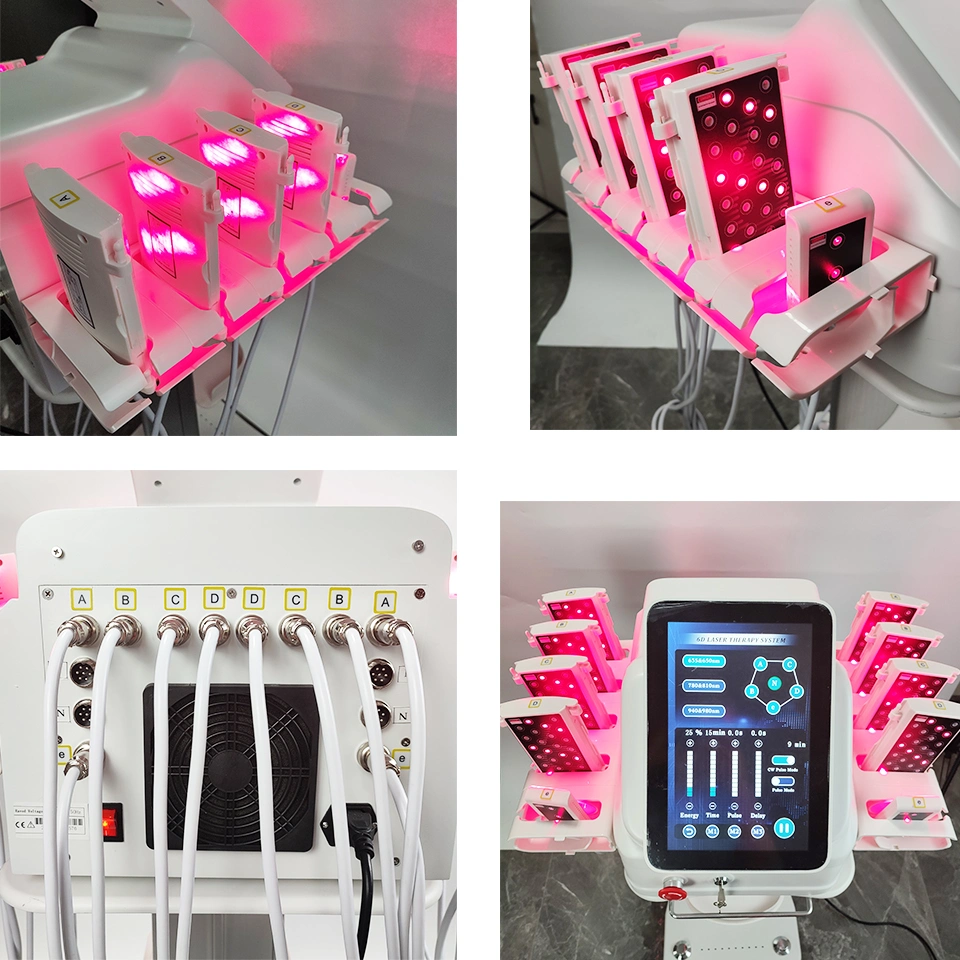 Machine de liposuccion au liposucteur 6D avec 635nm 650nm 780nm 810nm 940nm 980nm 3